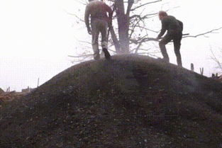 手工制作燒烤木炭與薪柴銷售指南